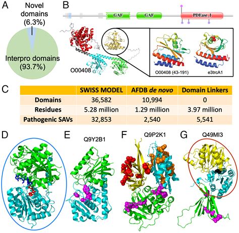 Classification Of Domains In Predicted Structures Of The Human Proteome