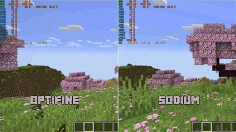 Optifine Vs Sodium Which Minecraft Mod Boosts FPS More