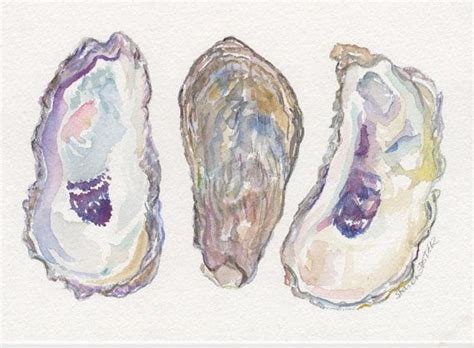 Original Oysters Shells Watercolor Painting X Coastal Etsy