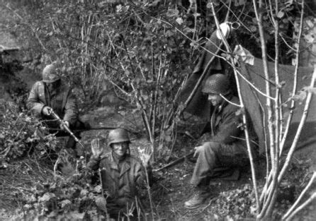 Combat In Normandy S Hedgerows Warfare History Network