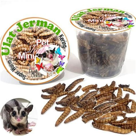 Jual Ulat Jerman Kering Super Worm Full Protein Makanan Sugar Glider