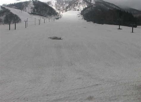 白馬乗鞍温泉スキー場ライブカメラと雨雲レーダー長野県小谷村