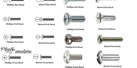 What Size Screw For License Plate