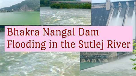 Bhakra Nangal Dam Flooding In The Sutlej River Youtube