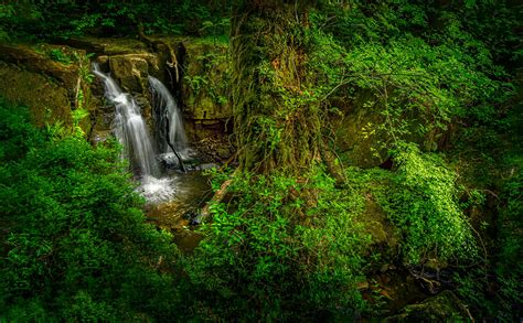 Waterfalls And Trees · Free Stock Photo