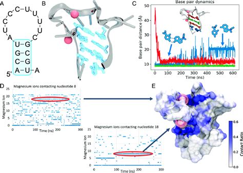 Ep23 Structure And Mg 2 A The Mfold Predicted Secondary Structure