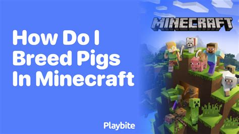 How Do I Breed Pigs In Minecraft Playbite