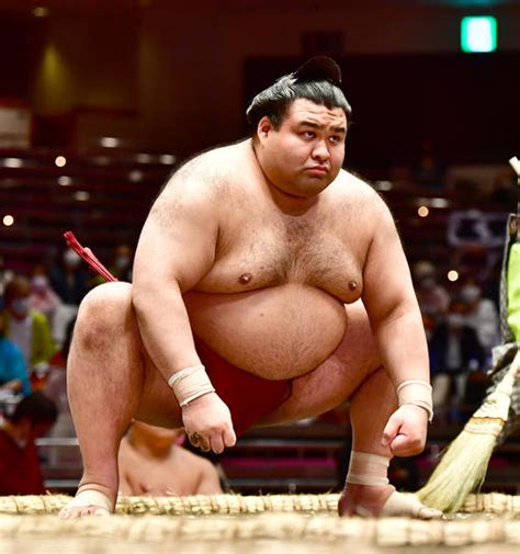 休場の高安が診断書提出 急性腰痛症により約10日間の安静、休養が必要 大相撲 日刊スポーツ