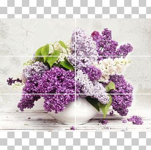 Common Lilac Shrub Pruning Cutting PNG, Clipart, Common Lilac, Cutting ...