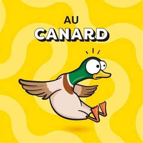 Sachets Friandises Catisfactions Canard Chat G Chez Amazon