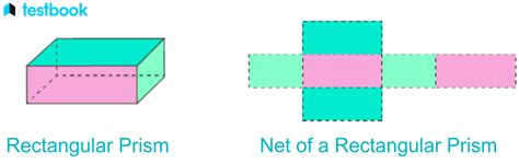 Rectangular Prism Definition Types Formulas Net And Examples