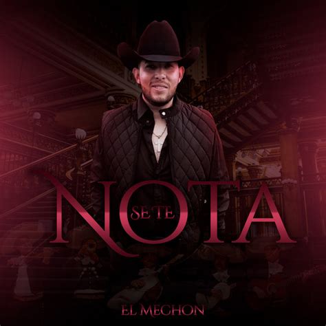 Se Te Nota Song And Lyrics By El Mechon Spotify