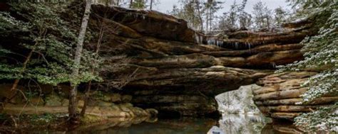 Pinson Mounds State Archaeological Park Tennessee State Parks