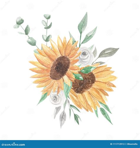 Sunflowers Watercolor Bouquets Pretty Clipart Flowers White Roses Stock Illustration ...