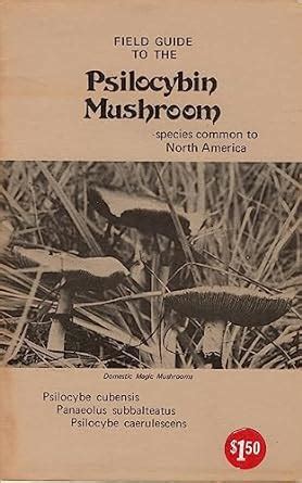 Field Guide To The Psilocybin Mushroom Species Common To North America