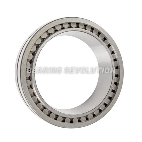 Nnu B K Sp W Bearing Revolution