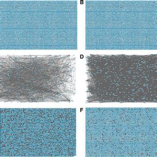 Sex Hierarchy Expansion A All Genes Expressed In The Cegs Data Were