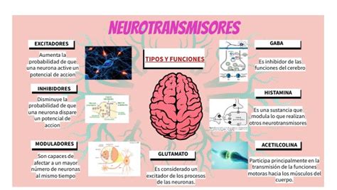 Mapa Mental Neurotransmisores