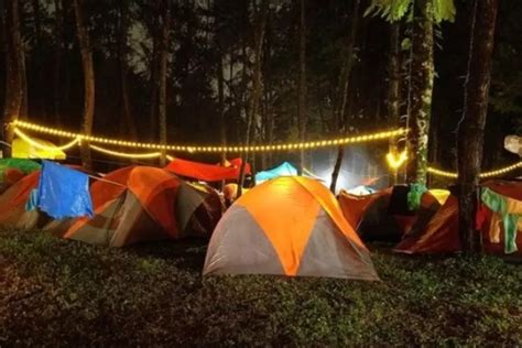 Terbenam Dalam Keindahan Alam Camping Seru Di Ledok Ombo Poncokusumo