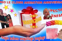 Bobo Le Clown Anime Anniversaire Magicien Marseille Magicien Pour