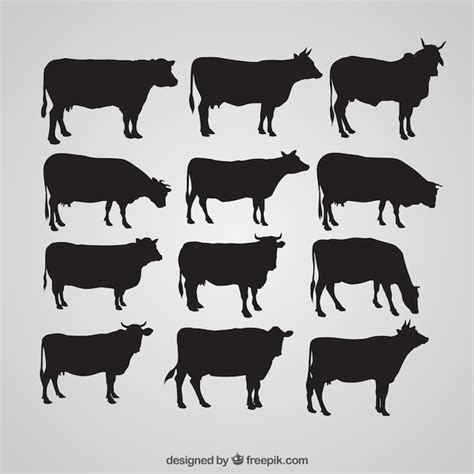 Cow Vectors Photos And Psd Files Free Download