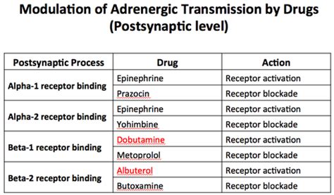 Adregnergic Receptors Flashcards Quizlet