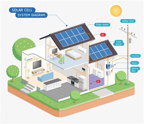 Qué Son Los Paneles Solares Y Cómo Funcionan Fotos Y Vídeo Paneles