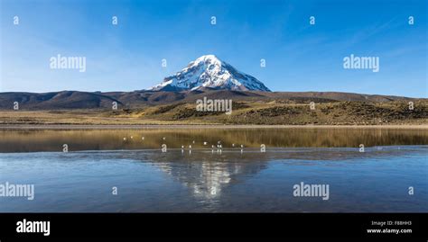 Sajama volcano and lake Huañacota, in the Natural Park of Sajama ...