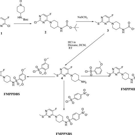 Synthetic route and chemical structures of piperidine derivatives ...