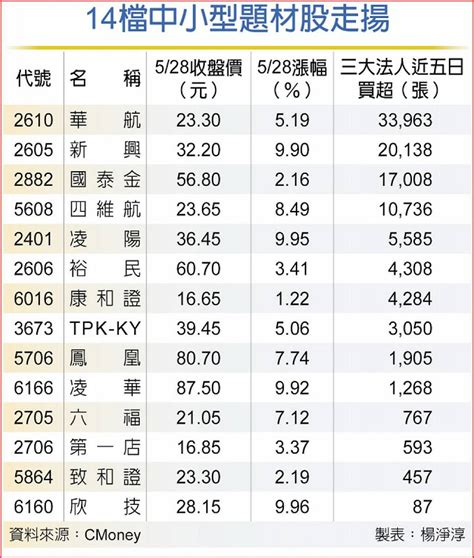 中小型股喊衝 法人搶進4類股 狂敲這檔航運股33萬張 日報 工商時報