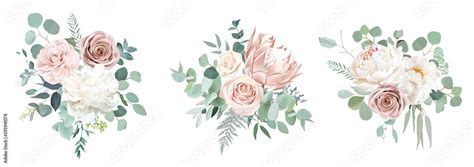 Pale Pink Camellia Dusty Rose Ivory White Peony Blush Protea Nude