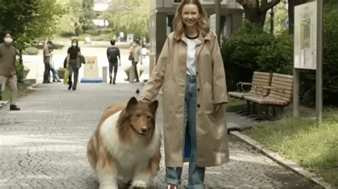 Hombre japonés se convierte en un perro collie con un costoso