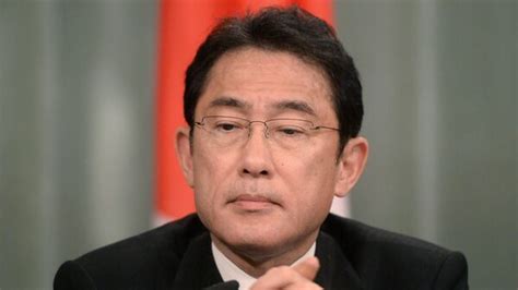 日本首相改组内阁 外相岸田文雄留任 2016年8月3日 俄罗斯卫星通讯社