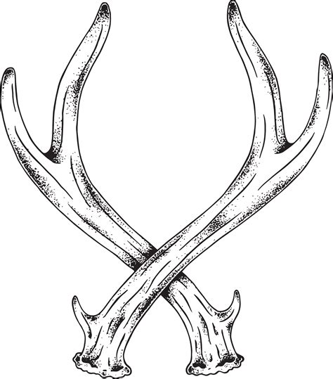 Deer Horns Drawing at PaintingValley.com | Explore collection of Deer ...