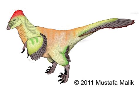 Balaur bondoc revisited colored by triggamafia on DeviantArt