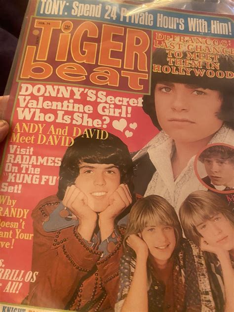 Tiger Beat Magazine Teen February 1974 Issue Bagged Ebay