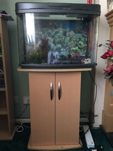 Litre Fish Tank Cm X Cm X Cm For Sale In Rugby