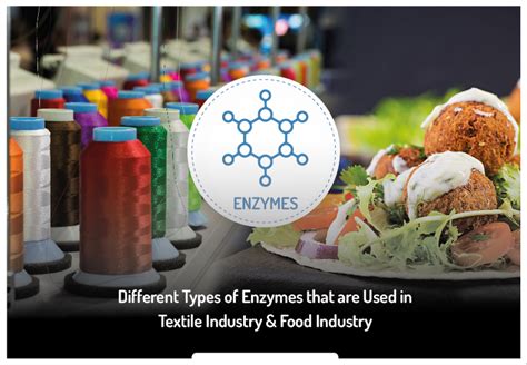 Enzymes Textile Food Industry Types Uses Ultrez Enzymes