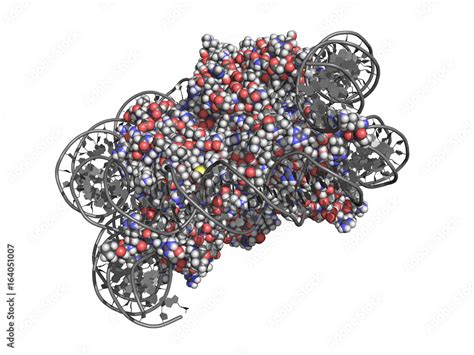 Nucleosome is a basic unit of DNA packaging in eukaryotic cells, with ...