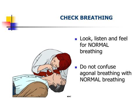 Ppt Basic Life Support Cardio Pulmonary Resuscitation Powerpoint