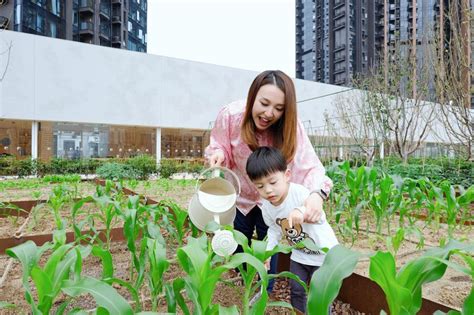 前主播黄丽帼7个月b女有惊人v面 下巴鼻哥同妈咪似足倒模 星岛日报