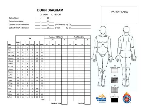 Pediatric Burn Diagram