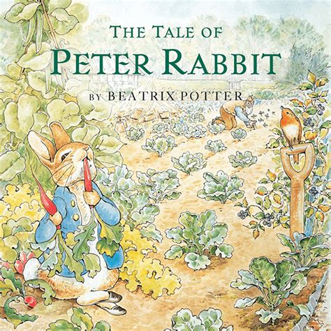 The Tale Of Peter Rabbit Book Paperback Jr Toy Company