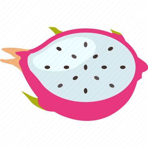 Dragon Dragonfruit Exotic Fruit Fruits Tropical Icon Download On Iconfinder