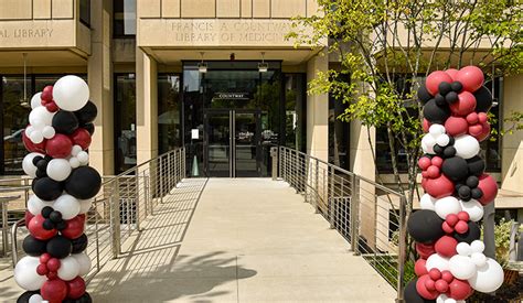 Countway Library Renovation Is ‘a Dream Realized Harvard Medical School