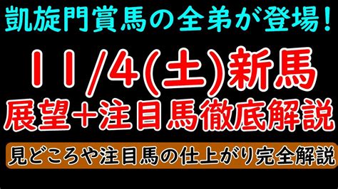 114土新馬戦展望注目馬解説 凱旋門賞馬の全弟シンエンペラーがついにデビュー！【pog23 24】 Youtube