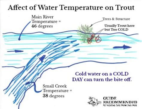 How To Use A Stream Thermometer To Catch More Fish Guide Recommended