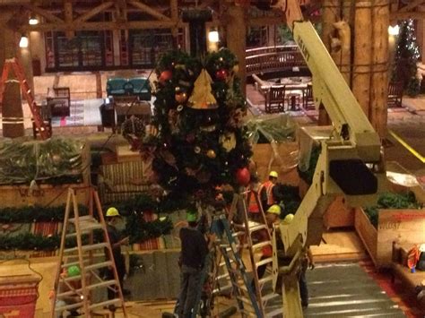 Behind the Scenes: Wilderness Lodge Christmas Comes to Life Overnight - ZANNALAND!