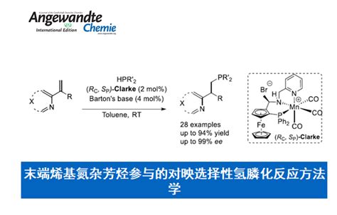 Angew：末端烯基氮杂芳烃参与的对映选择性氢膦化反应方法学 化学空间 Chem Station