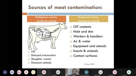 Meat Microbiology Sources Of Meat Contamination Youtube